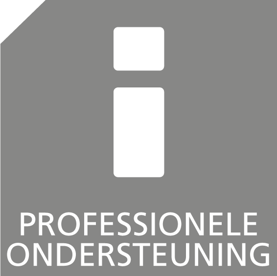 Professionele ondersteuning